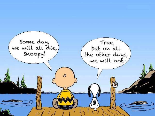 Charlie-Brown-and-Snoopy-cartoon-someday-we-die