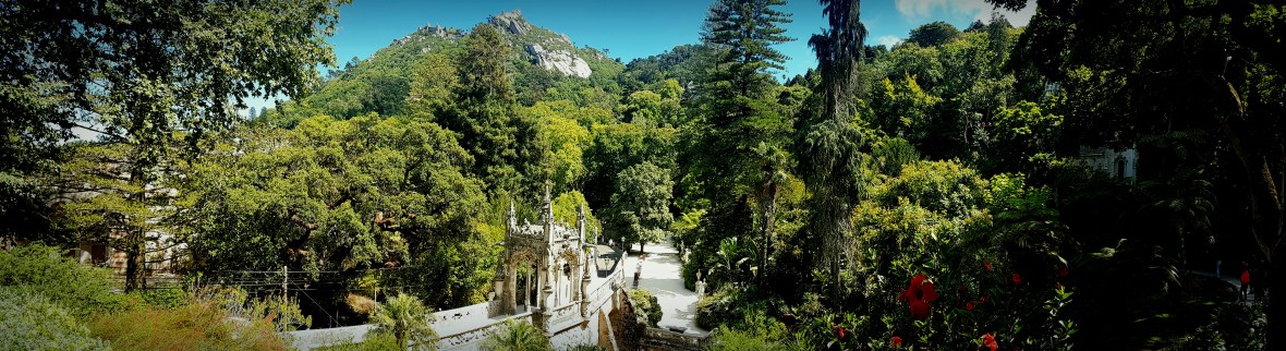 photostudio_1526219375437