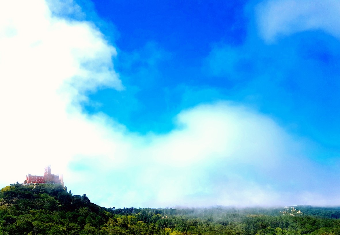 photostudio_1526790409127