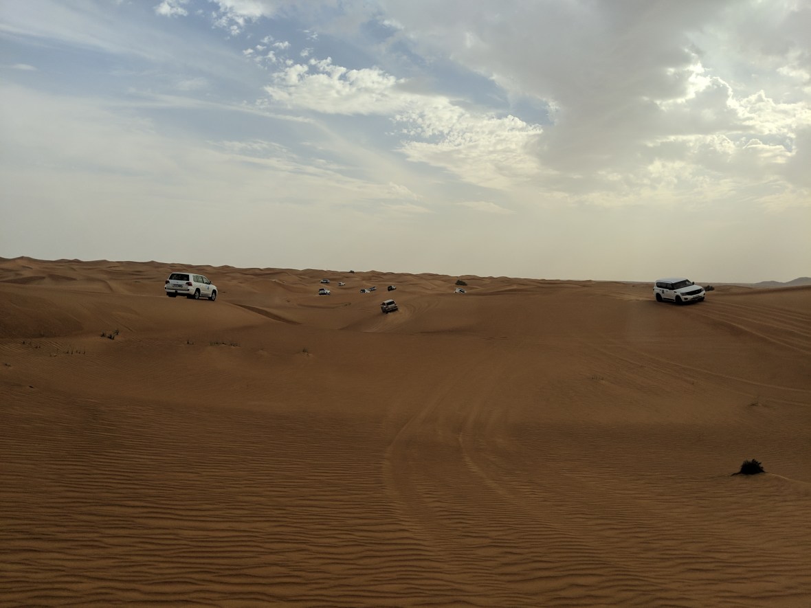 One of the brief moments I could sit still enough to take a picture